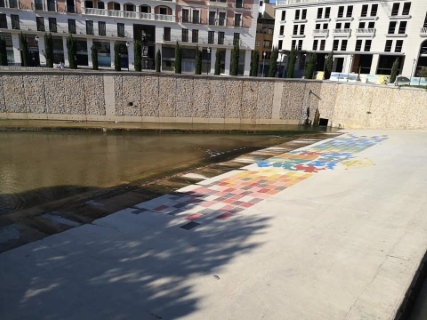 La CHS y el Ayuntamiento de Orihuela trabajan para que el número de peces muertos aparecidos en el río Segura sea pequeño y así los ciudadanos estén tranquilos