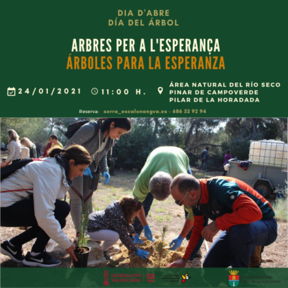 Pinar de Campoverde de Pilar de la Horadada, evento: Actividad 'Árboles para la esperanza' en el Día del Árbol, organizada por el 'Paisaje Protegido de Sierra Escalona' de la Comunitat Valenciana