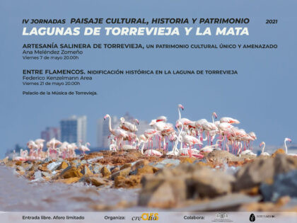 Torrevieja, evento cultural: Conferencia 'Entre flamencos. Nidificación histórica en la Laguna de Torrevieja', dentro de las IV Jornadas 'Paisaje cultural, historia y patrimonio', organizadas por la asociación cultural 'Ars Creatio'