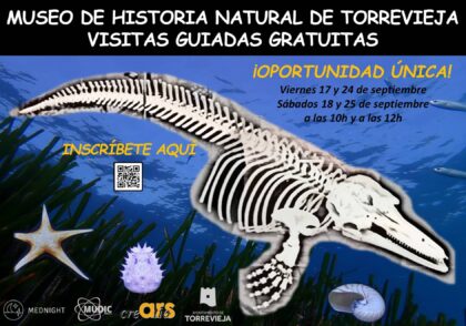 Torrevieja, evento cultural: Visitas guiadas gratuitas al Museo de Historia Natural de Torrevieja, dentro de la Noche Mediterránea de las Investigadoras 'Mednight 2021'