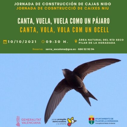 Pinar de Campoverde de Pilar de la Horadada, evento: Jornada de construcción de cajas nido 'Canta, vuela, vuela como un pájaro', organizada por el 'Paisaje Protegido de Sierra Escalona' de la Comunitat Valenciana