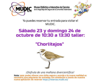 Desamparados de Orihuela, evento: Reservas para los talleres 'Chortilejos' y 'Cocina y reacciones químicas', organizados por el Museo de Ciencias MUDIC de la Universidad Miguel Hernández (UMH)