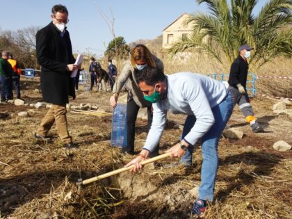 La Concejalía de Medio Ambiente celebra el 'Día del Árbol' de la Comunidad Valenciana con la plantación de casi un centenar de ejemplares en el Molino de la Ciudad
