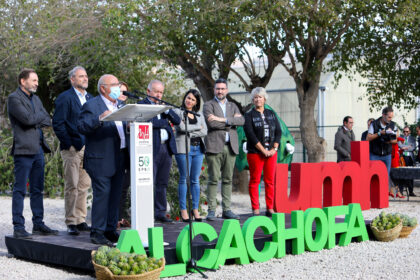 La superficie dedicada a la alcachofa de la Vega Baja crece un 5%