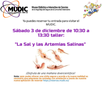 Desamparados de Orihuela, evento: Reservas para el taller 'La sal y las artemias salinas', organizado por el Museo de Ciencias MUDIC de la Universidad Miguel Hernández (UMH)