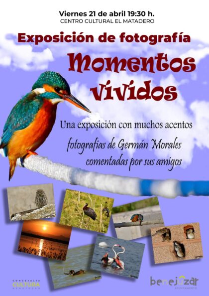 Benejúzar, evento cultural: Exposición de fotografía de ornitología 'Momentos vividos', por Germán Morales, dentro de los actos de la ‘Primavera Cultural’ organizados por la Concejalía de Cultura
